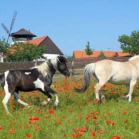 Bukovansky Mlyn Bukovany (Hodonin)