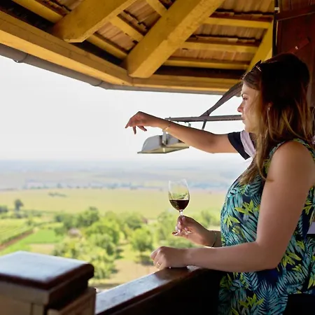 Bukovansky Mlyn 3* Bukovany (Hodonin)