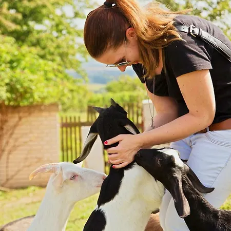 Bukovansky Mlyn 3* Bukovany (Hodonin)