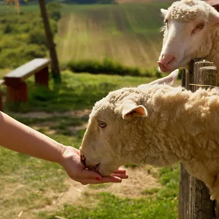 Bukovansky Mlyn 3* Bukovany (Hodonin)