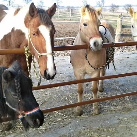 Bukovansky Mlyn Hotel 3*