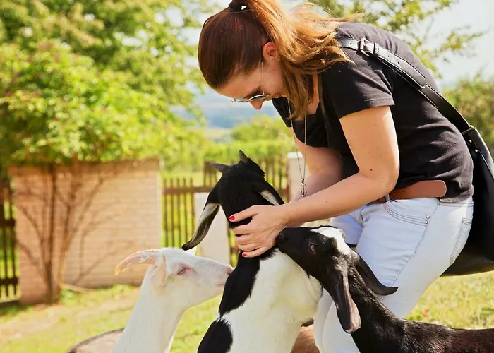 Bukovanský Mlýn 3* Bukovany (Hodonin)