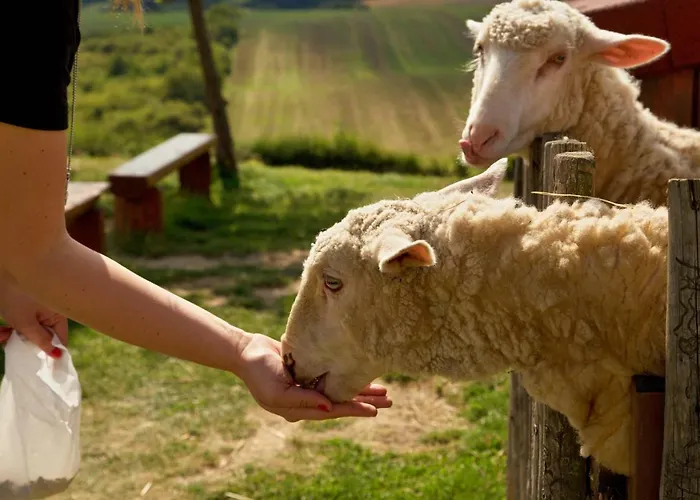 Bukovanský Mlýn 3* Bukovany (Hodonin)