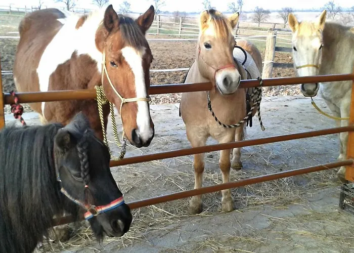 Bukovanský Mlýn Hotel 3*